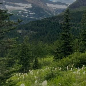 Meet your Posher, Suzanne